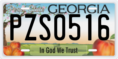 GA license plate PZS0516