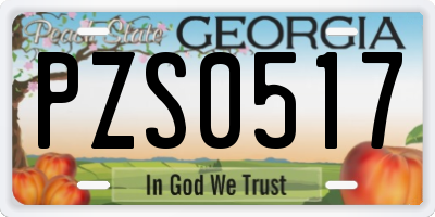 GA license plate PZS0517