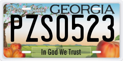 GA license plate PZS0523