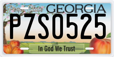 GA license plate PZS0525