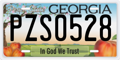 GA license plate PZS0528