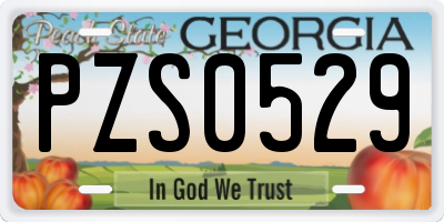 GA license plate PZS0529