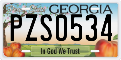 GA license plate PZS0534