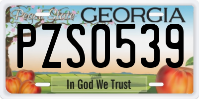 GA license plate PZS0539