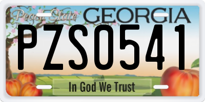 GA license plate PZS0541
