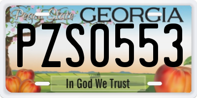 GA license plate PZS0553