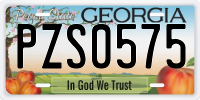 GA license plate PZS0575