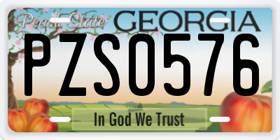 GA license plate PZS0576