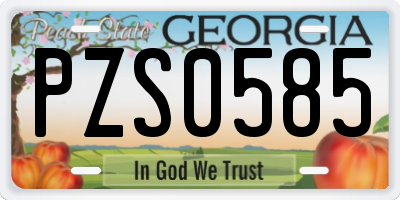 GA license plate PZS0585