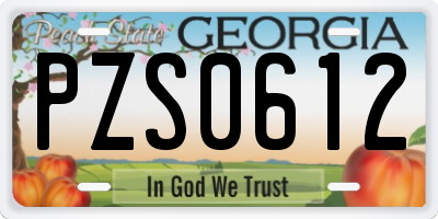 GA license plate PZS0612