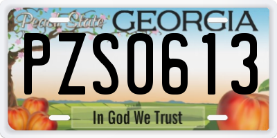 GA license plate PZS0613