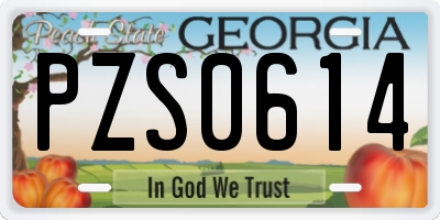 GA license plate PZS0614