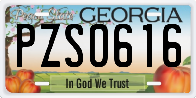 GA license plate PZS0616