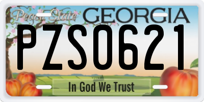 GA license plate PZS0621
