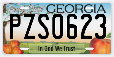 GA license plate PZS0623
