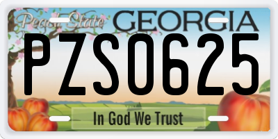 GA license plate PZS0625