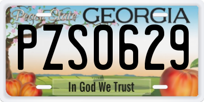 GA license plate PZS0629