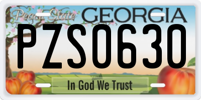 GA license plate PZS0630