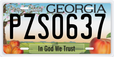 GA license plate PZS0637