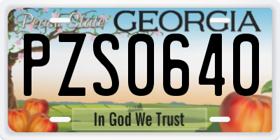 GA license plate PZS0640