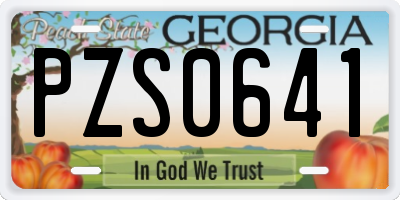 GA license plate PZS0641