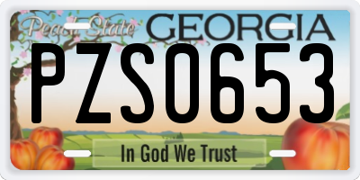 GA license plate PZS0653