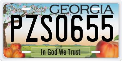 GA license plate PZS0655