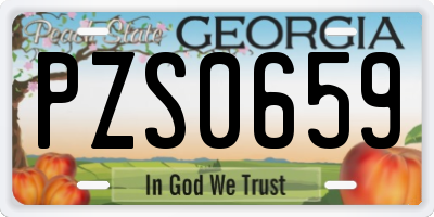 GA license plate PZS0659