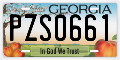 GA license plate PZS0661