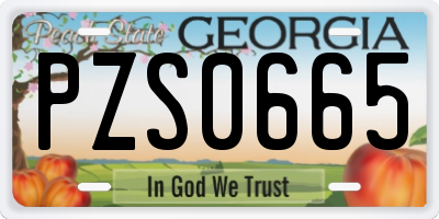 GA license plate PZS0665
