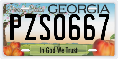 GA license plate PZS0667