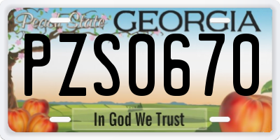 GA license plate PZS0670
