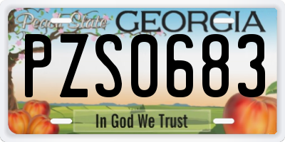 GA license plate PZS0683