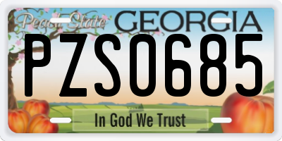 GA license plate PZS0685