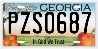 GA license plate PZS0687