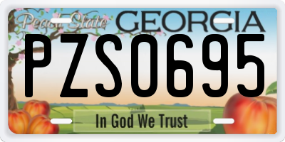 GA license plate PZS0695