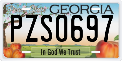 GA license plate PZS0697