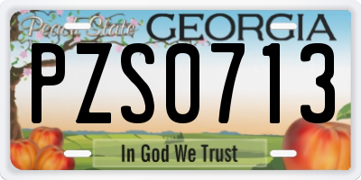 GA license plate PZS0713