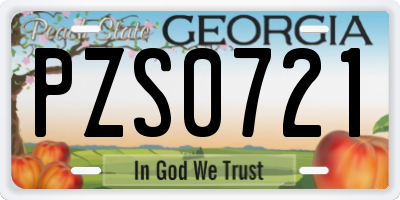 GA license plate PZS0721