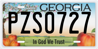 GA license plate PZS0727