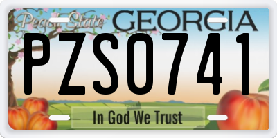 GA license plate PZS0741