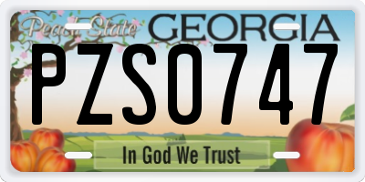 GA license plate PZS0747