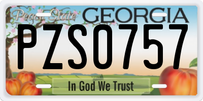 GA license plate PZS0757