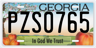 GA license plate PZS0765