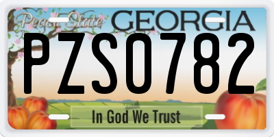 GA license plate PZS0782