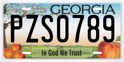 GA license plate PZS0789