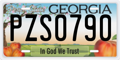 GA license plate PZS0790
