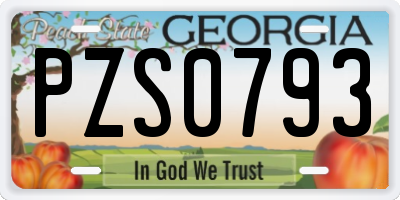 GA license plate PZS0793