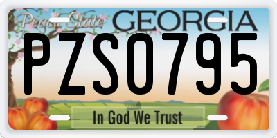 GA license plate PZS0795