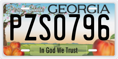 GA license plate PZS0796